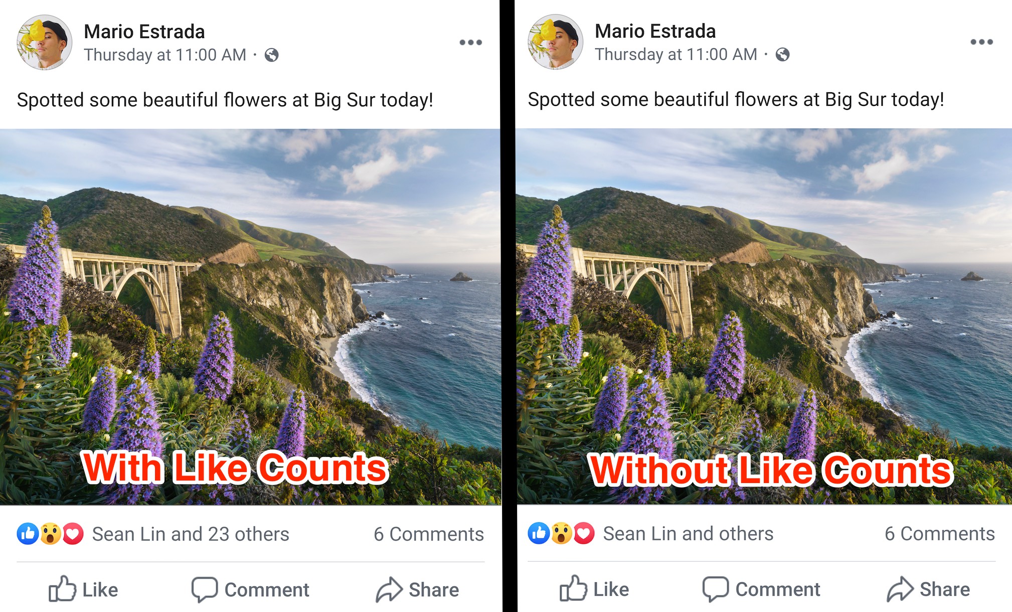 facebook tries hiding like counts to fight envy