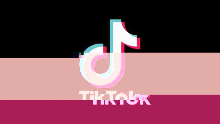 tiktok stars got a judge to block trumps tiktok ban