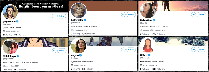 twitters verification process remains problematic with several bot profiles getting blue checkmarks