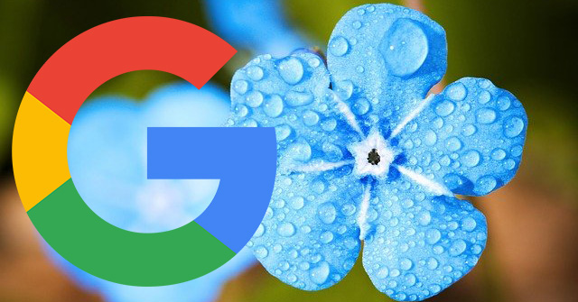 Google Search Testing Blue Header