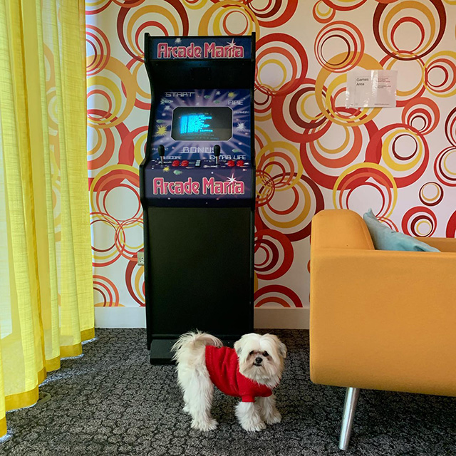 Doogler At A Google Arcade