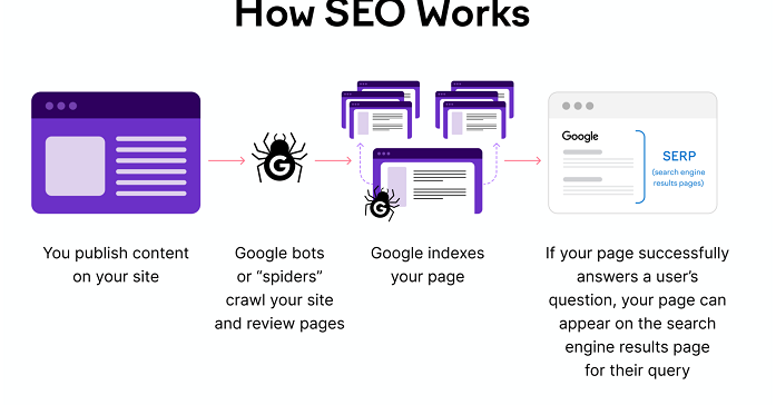 The Basics of SEO in 2022 [Infographic]