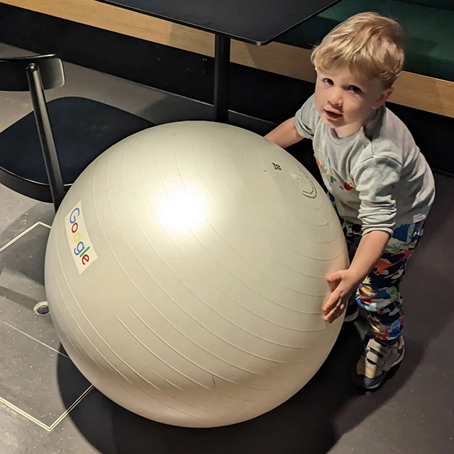 Google Exercise Ball