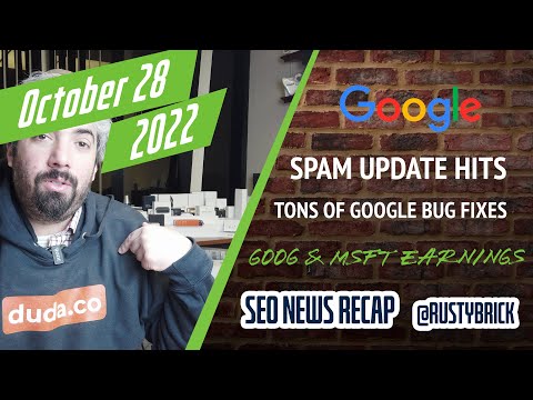 Google Spam Update Hits Hard, Query Data Analytics Bug Fixed, Google Ads API, PMax Updates & Earnings Reports