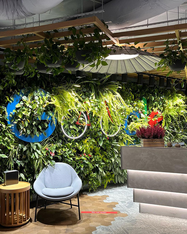 Overgrown With Plants Google Logo