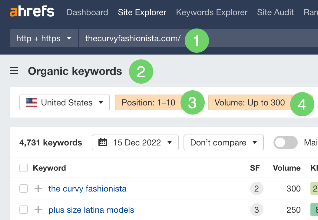 Filtering for long-tail keywords that thecurvyfashionist.com ranks for in Ahrefs' Site Explorer
