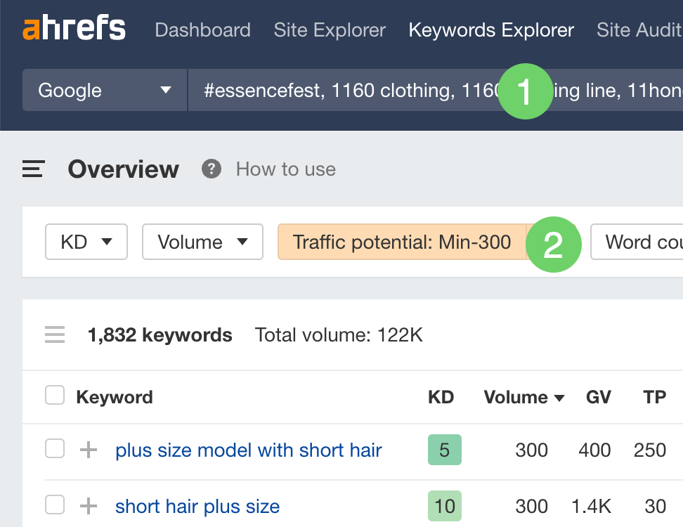 Looking up Traffic Potential (TP) in bulk in Ahrefs' Keywords Explorer