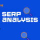 How to Do a SERP Analysis