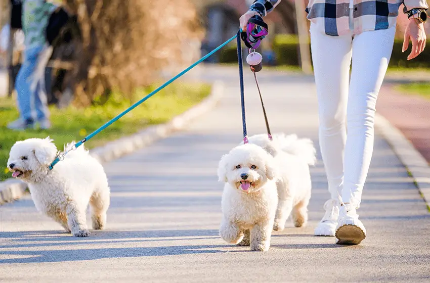 40 Best Small Business Ideas to Start in 2023 svg%3E