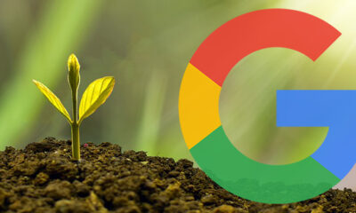 Google säger att rulla ut en algoritmuppdatering är som att plantera frön i en trädgård