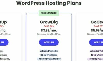 wordpress hosting plans