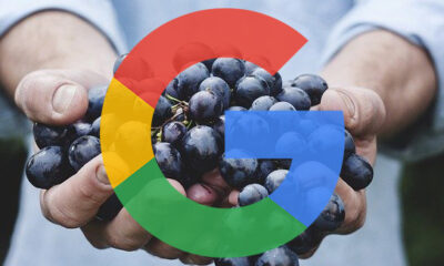 Google Cluster Grapes