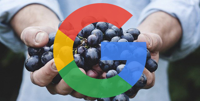 Google Cluster Grapes