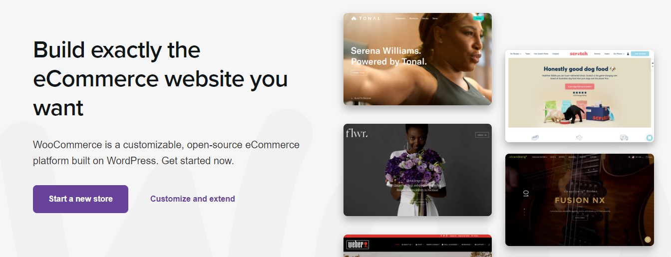 Website screenshot for WooCommerce