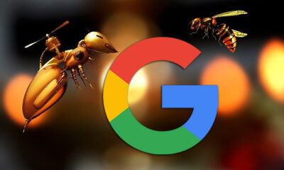 Bee Googlebot