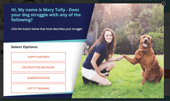 pop-up example by mary tally dog trainer