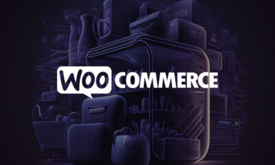 11 Best WooCommerce Themes for 2023