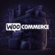 11 Best WooCommerce Themes for 2023