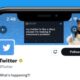 Twitter's Revenue Nosedived 40% In December As Advertisers Left: Report