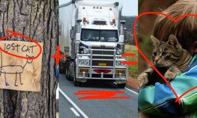 Ett år efter att den försvann hjälpte en godhjärtad lastbilschaufför denna katt att komma hem