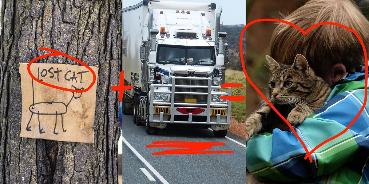 A year after it went missing, a kind-hearted truck driver helped this cat get back home