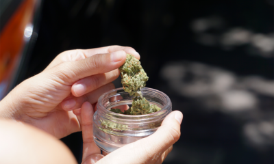 A budtender in Las Cruces displaying cannabis in a jar