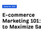 E-commerce Marketing 101: How to Maximize Sales