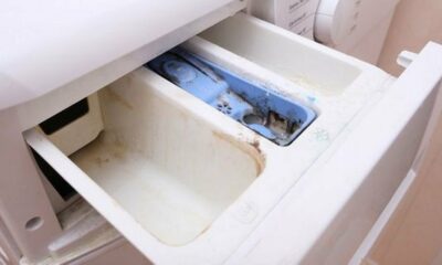 How to clean the gunk from little drawers in washing machines