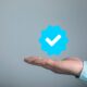 Should You Invest In Twitter Blue Or Meta Verified?