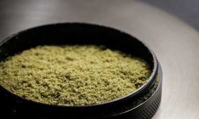 Kief at the bottom of a grinder can you dab kief