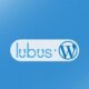 LUBUS Agency’s Clients Save 50-90% by Migrating to WordPress.com – WordPress.com News