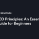 SEO Principles: An Essential Guide for Beginners [Infographic]