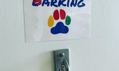 Google Dog Parking Sign