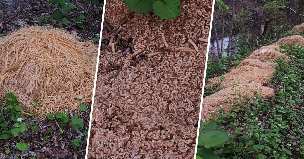 Hundreds of Pounds of Pasta Were Dumped in New Jersey Woods