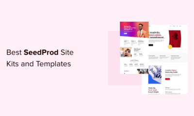 14 Best SeedProd Site Kits and Templates (Our Favorites)