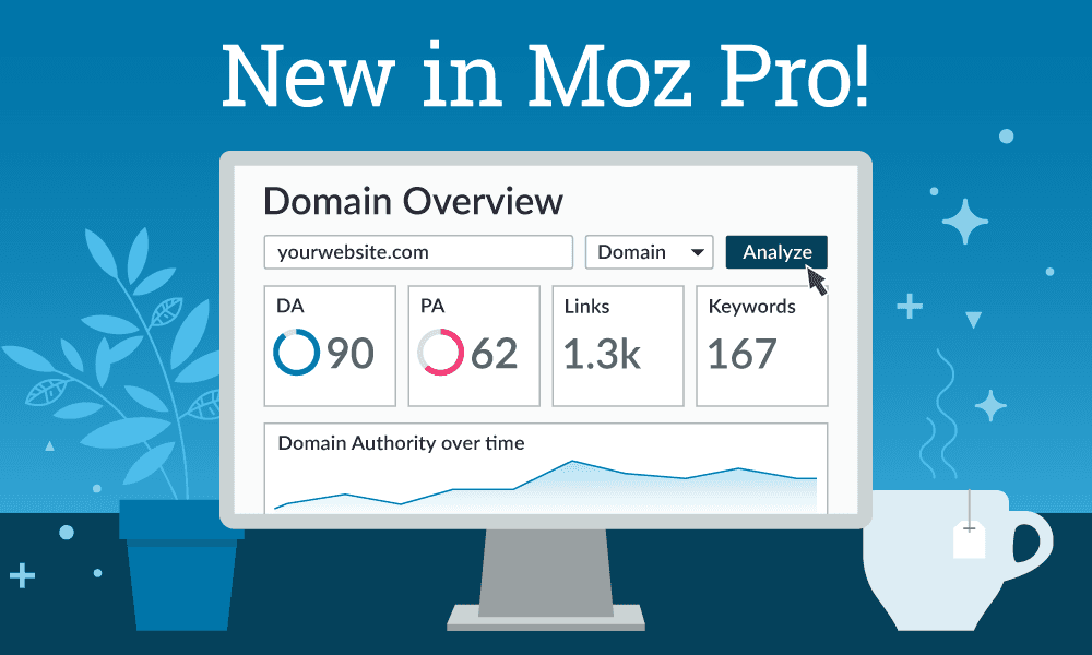 Build an SEO Report in Seconds with Domain Overview