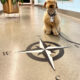 Google Office Floor Compass