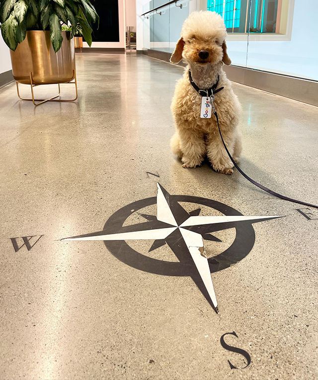 Google Office Floor Compass