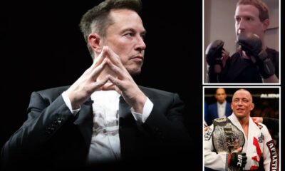 Elon Musk will be trained by UFC legend Georges St-Pierre