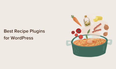 9 Best Recipe Plugins for WordPress (Free and Paid)