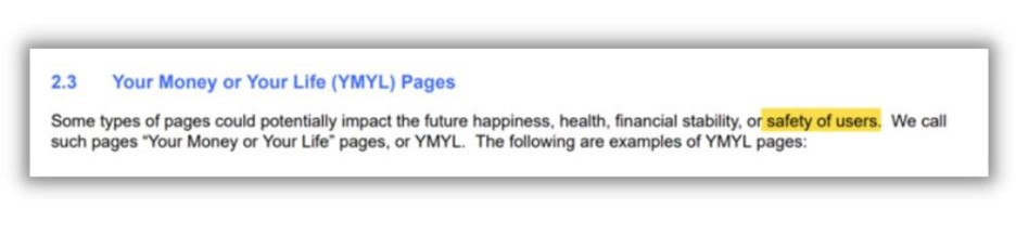 Google eeat - screenshot of Google's statement on YMYL topics