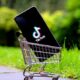 TikTok Is Going to Sell Cheap Junk in Competition With Shein and Temu