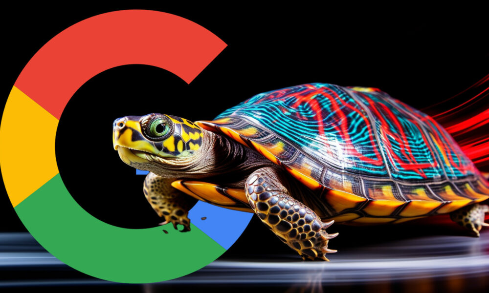 Google Turtle Motion