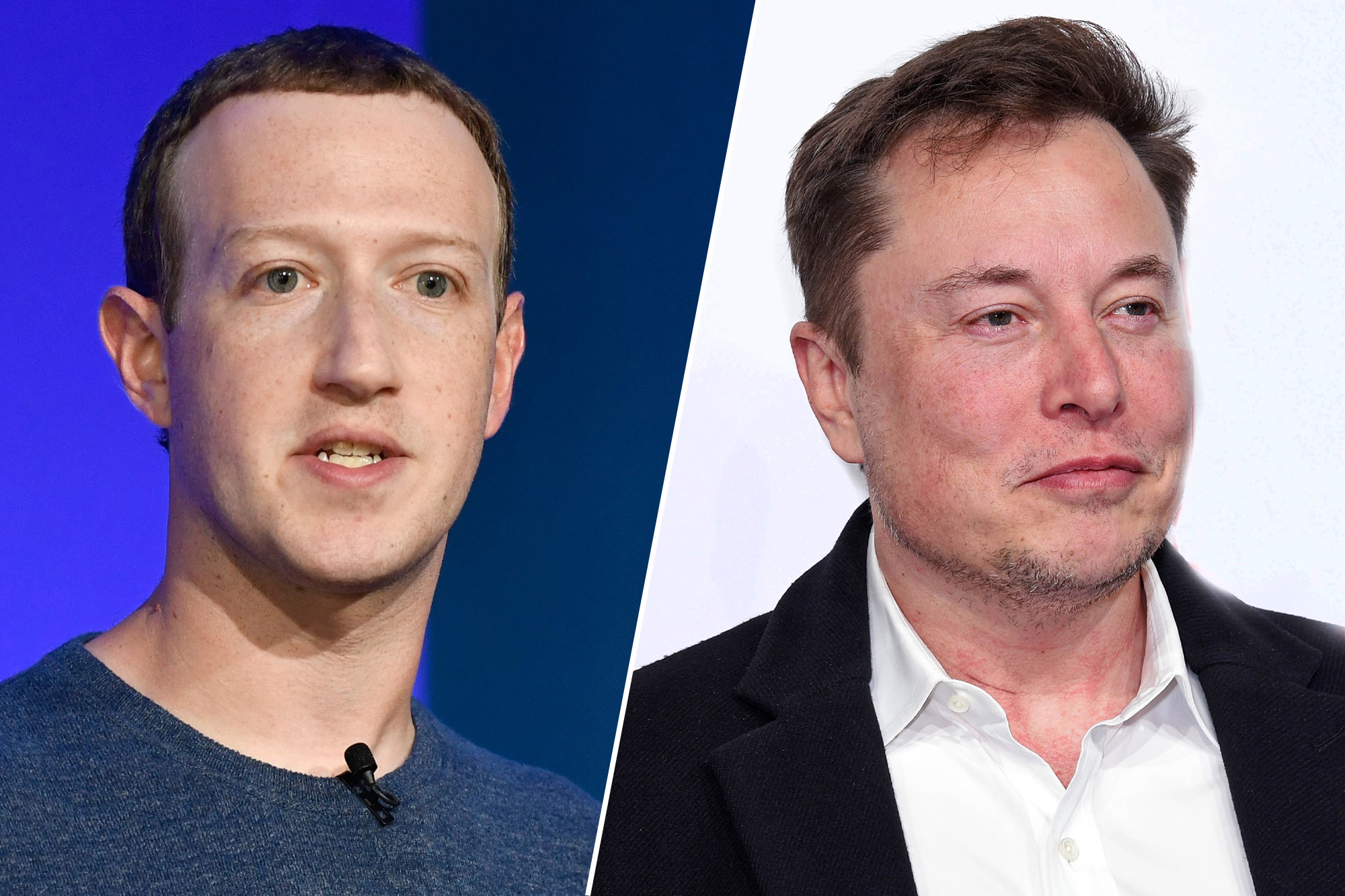 Elon Musk Texted Mark Zuckerberg That They Should Fight in His Backyard on Monday: Biographer