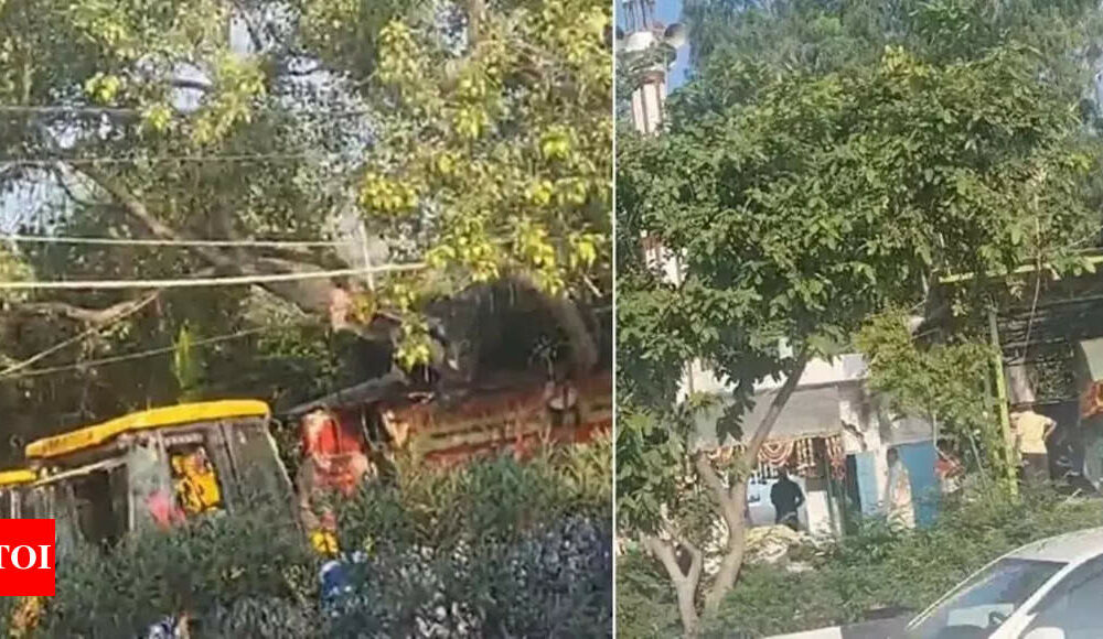 2 mazars razed in Uttarakhand's Rishikesh, live streamed on Facebook | Dehradun News