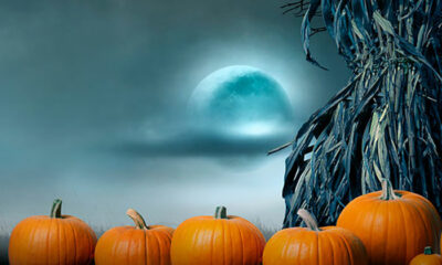 65 Halloween Greetings & Phrases for All Your Marketing Needs