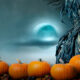 65 Halloween Greetings & Phrases for All Your Marketing Needs