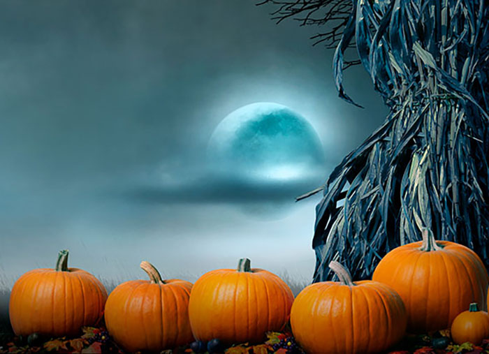 65 Halloween Greetings & Phrases for All Your Marketing Needs