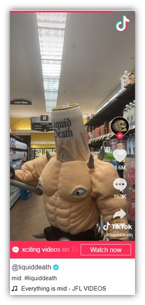 brand messaging - example of brand messaging on tiktok