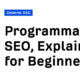 Programmatic SEO, Explained for Beginners